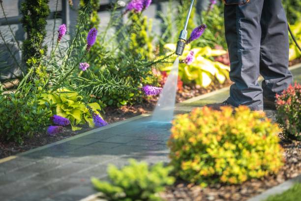 Best Dumpster Area Cleaning  in Jessup, PA