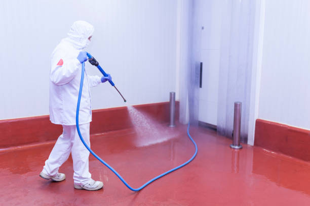 Best Building Exterior Washing  in Jessup, PA